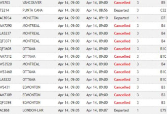 皮尔逊机场400多航班取消