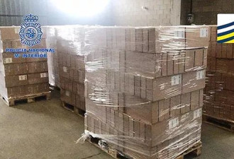 西班牙查获8吨假奶粉，大多运往中国