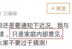 张亮成《爸哪》第二位离婚嘉宾 杜江霍思燕最甜