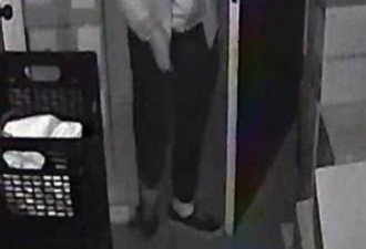 多伦多24岁华裔男子一个月爆窃14家商店终落网