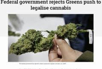 澳大利亚联邦政府反对大麻合法化呼吁