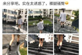 校园多名女大学生遭偷拍丝袜照，照片被发微博