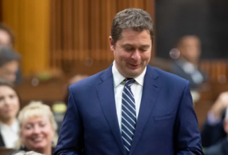 加拿大保守党领袖排名，辞职的熙尔排第几？
