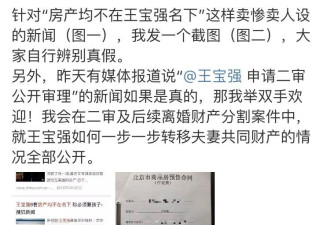 王宝强闺蜜叶璇再发声，用10字反击马蓉
