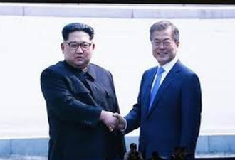 韩朝首脑协力栽树 南北“水土合一”