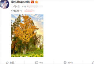 李小璐晒照秒删暴露位置 疑和PGone前后脚赴美