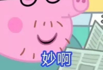 英国动画小猪佩奇，怎么就在中国成了社会人？