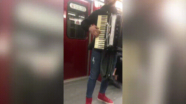 多伦多地铁里能爆红抖音的手风琴小哥