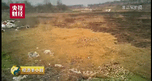 央视曝光：四川致命垃圾坑 一旦失足瞬间淹没
