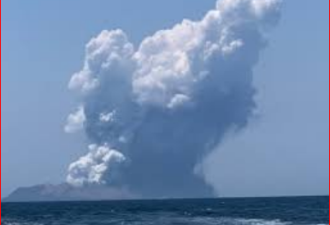 新西兰白岛火山爆发后已无生命迹象
