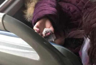5岁女童公交上徒手抓鼠，手段极其“残忍”