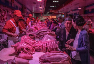 中国非洲猪瘟困局，政府应对迟缓加速疫情蔓延