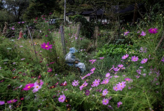 在这个诡异的日本村庄 人偶比活人还多