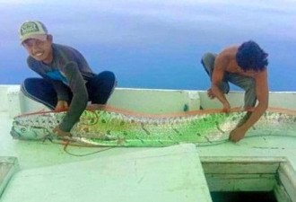印尼渔民捕获深海怪鱼称是地震前兆 官方辟谣