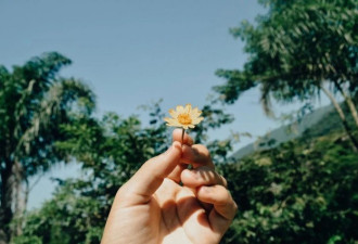 女儿，我宁愿你不善良！妈妈的信刷爆朋友圈