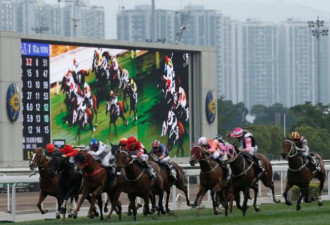 美国赌神在香港赛马 狂赢了10亿美元