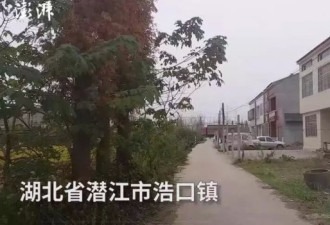 舍弃尊严不计后果，我用子宫换了两套房