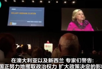 希拉里鼓吹中国威胁论, 她表扬的学者黑中国