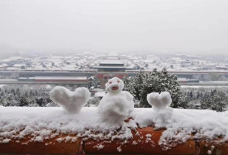 2019年的第一场雪！北京变成了童话世界
