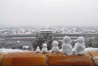 2019年的第一场雪！北京变成了童话世界