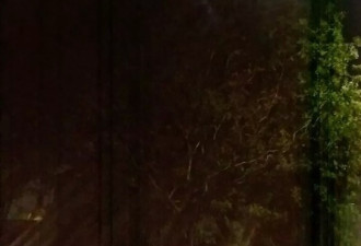 高能慎入！外网红光事件，up主最后神秘失联…