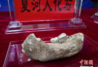 中国唯一！甘肃研究入选2019世界十大考古发现