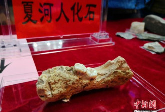 中国唯一！甘肃研究入选2019世界十大考古发现