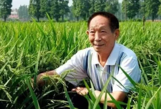 魔稻祖师身价千亿，却因十个螺“人设崩塌”？