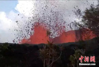 美夏威夷火山喷发活动暂缓 居民返家抢救家当
