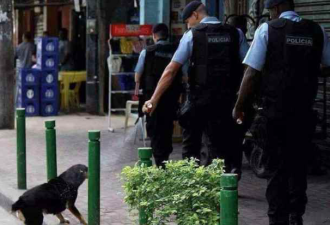 乱港分子发文煽动仇警 同党都看不下去：快删了