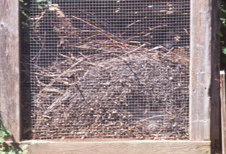 养花种草系列211：堆肥--废物变沃土