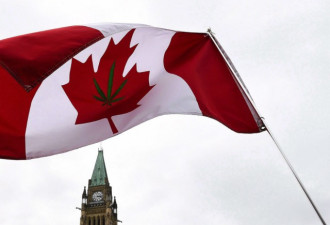 中方私下担心加拿大大麻非法流向中国！