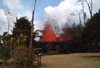 夏威夷的居民们在自家花园里看火山喷发...