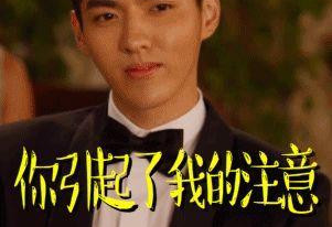 首尔小姐选美 网友直呼可改名"整容医院大赛"