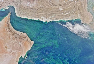 世界上最大的“死亡地带”在阿拉伯海中