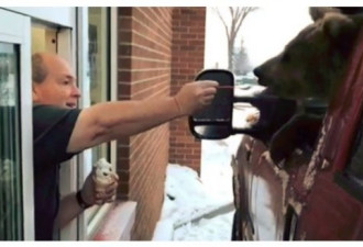 带着熊去买冰淇淋！加拿大人真是拉风啊…