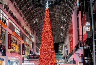 多伦多限时地标 巨大炸鸡腿堆成的圣诞树惊艳了