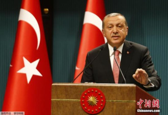 土耳其执政党提名埃尔多安为总统候选人