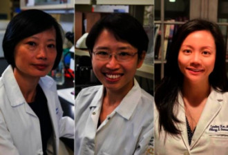 加州大学3位华裔女科学家 获1800多万科研资金