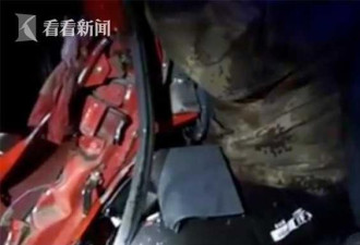 “不要睡啊！”他们撕心裂肺的呼喊救了一条命