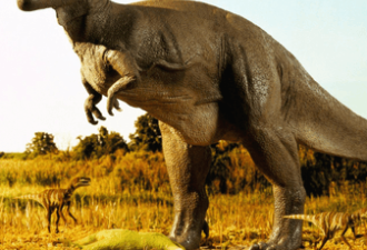 考古发现一只2亿年前的恐龙，被一颗子弹射杀？