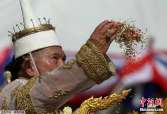 泰国王室举行春耕节仪式 祝祷风调雨顺
