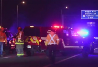 男子走上QEW高速路遭两车撞击身亡 身份不明