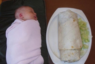 这家餐馆超有爱：跟婴儿一样大的墨西哥卷饼