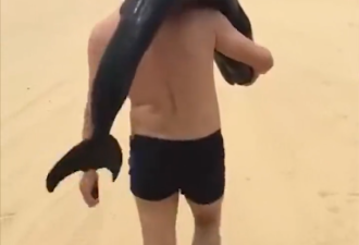 海豚搁浅在沙滩上 游客这样扛起来就走