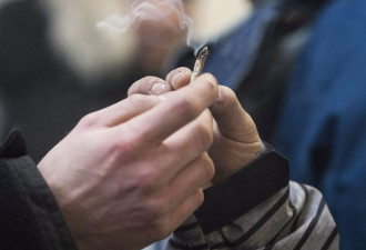 魁省最严大麻禁令明天生效！安省何时会效仿？