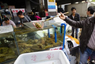中国官员正在调查武汉病毒性肺炎爆发的原因
