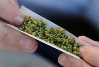 加拿大这个省抽大麻最低年龄全国最高