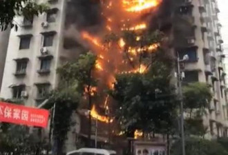 重庆突发火灾 30层住宅楼从底烧到顶