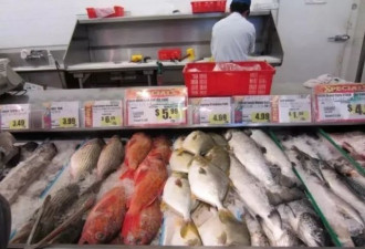 曝光：多伦多两家华人超市用死鱼&quot;掉包&quot;活鱼